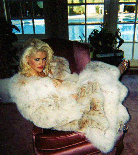 Anna Nicole Smith Pies