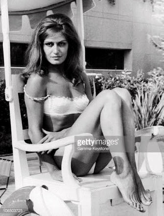 Dalida Pies