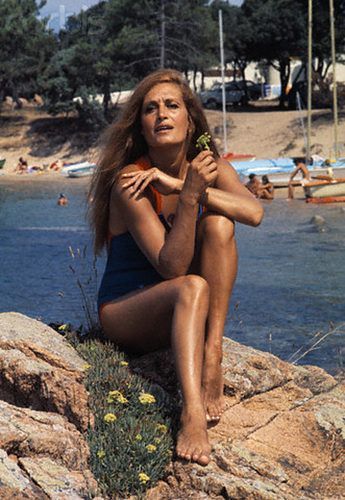 Dalida Pies