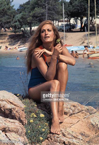 Dalida Pies