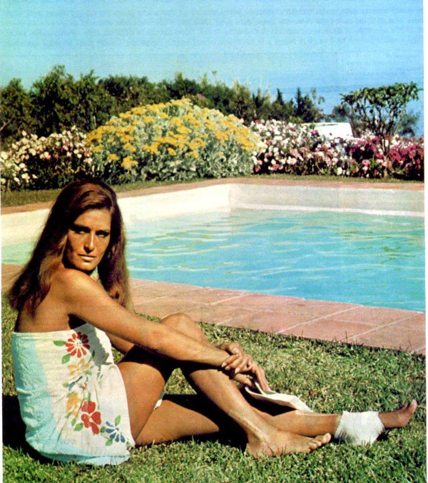 Dalida Pies