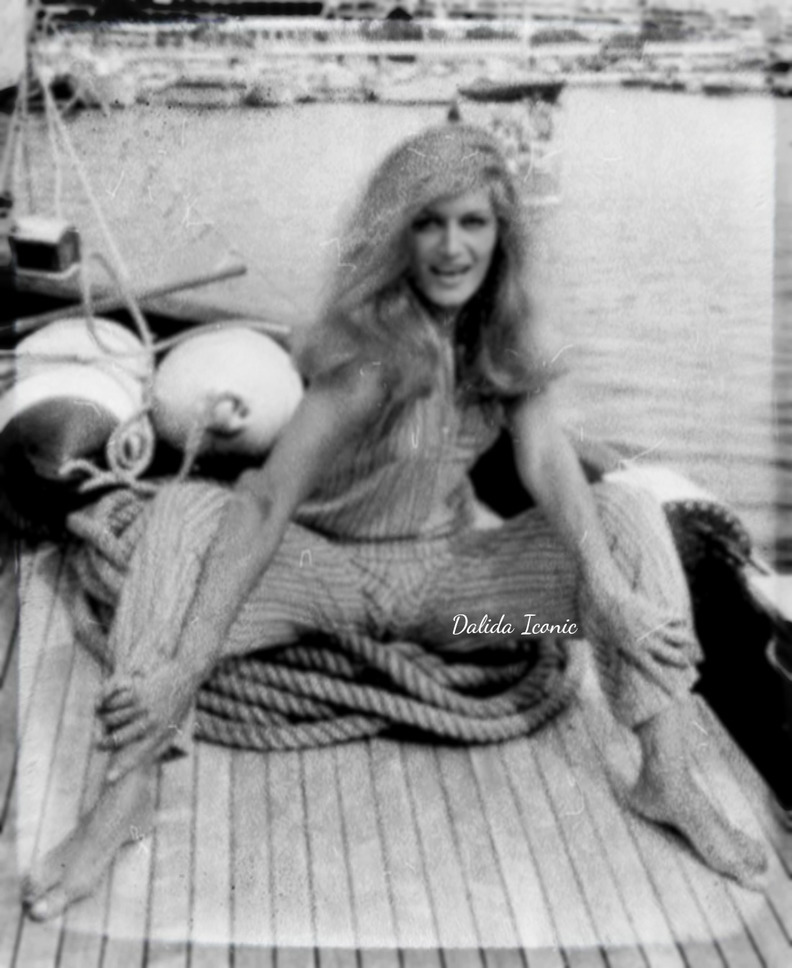 Dalida Pies