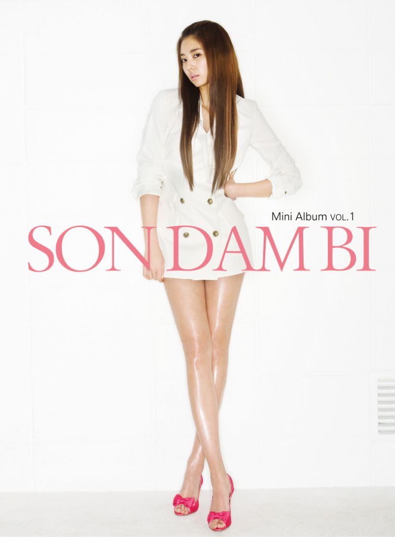 Dam Bi Son Pies