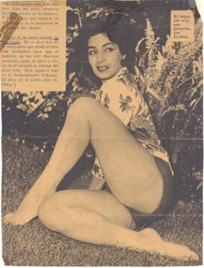 Elsa Aguirre Pies