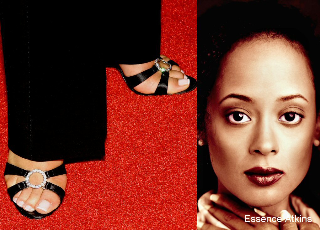 Essence Atkins Pies