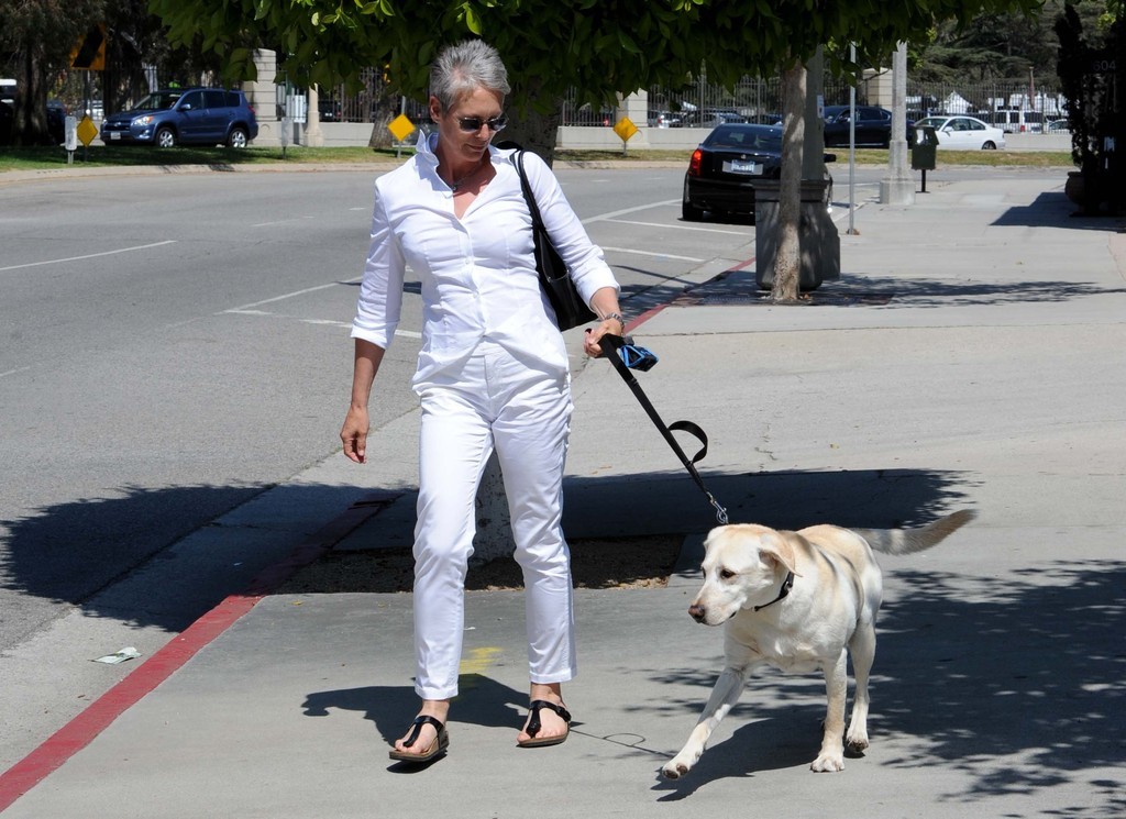 Jamie Lee Curtis Pies