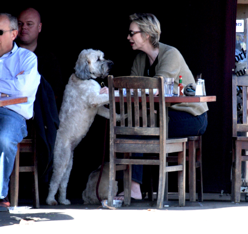 Jane Lynch Pies