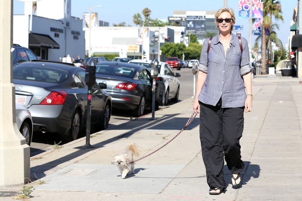 Jane Lynch Pies