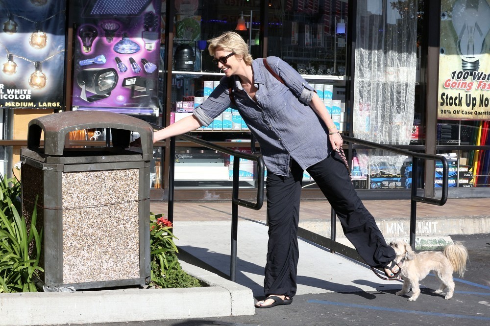 Jane Lynch Pies