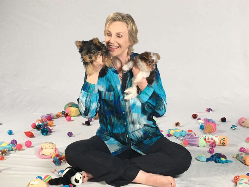 Jane Lynch Pies