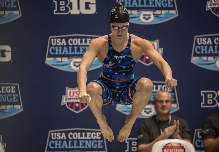 Mallory Comerford Pies