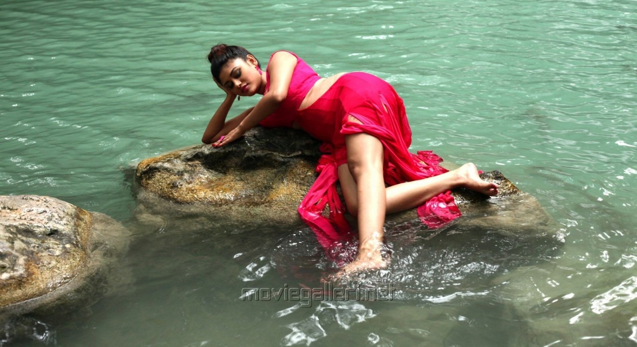 Oviya Pies