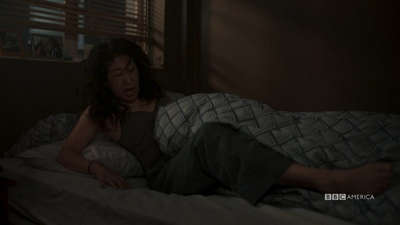 Sandra Oh Pies