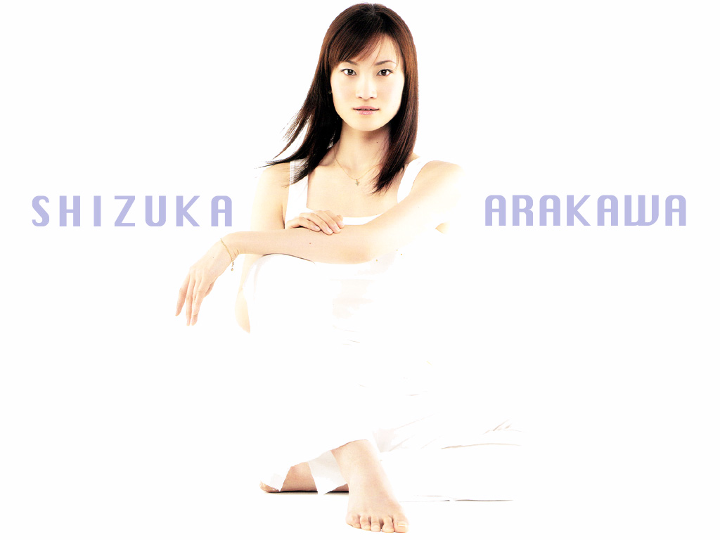 Shizuka Arakawa Pies