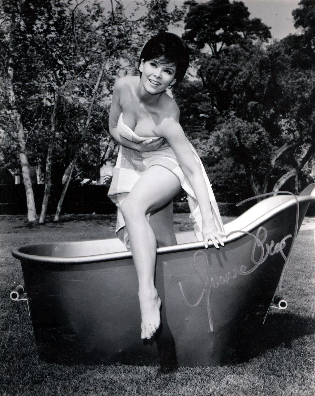 Yvonne Craig Pies