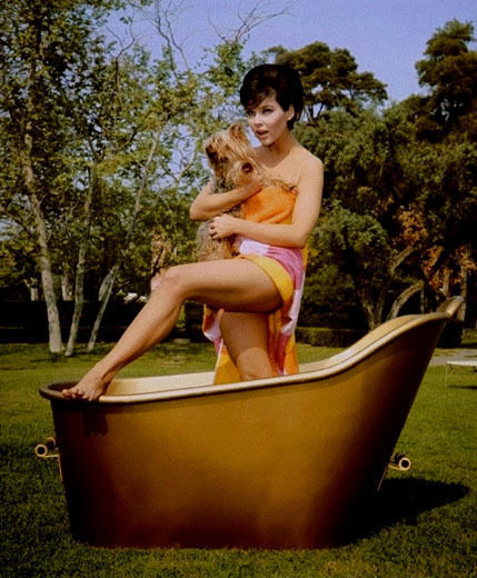 Yvonne Craig Pies