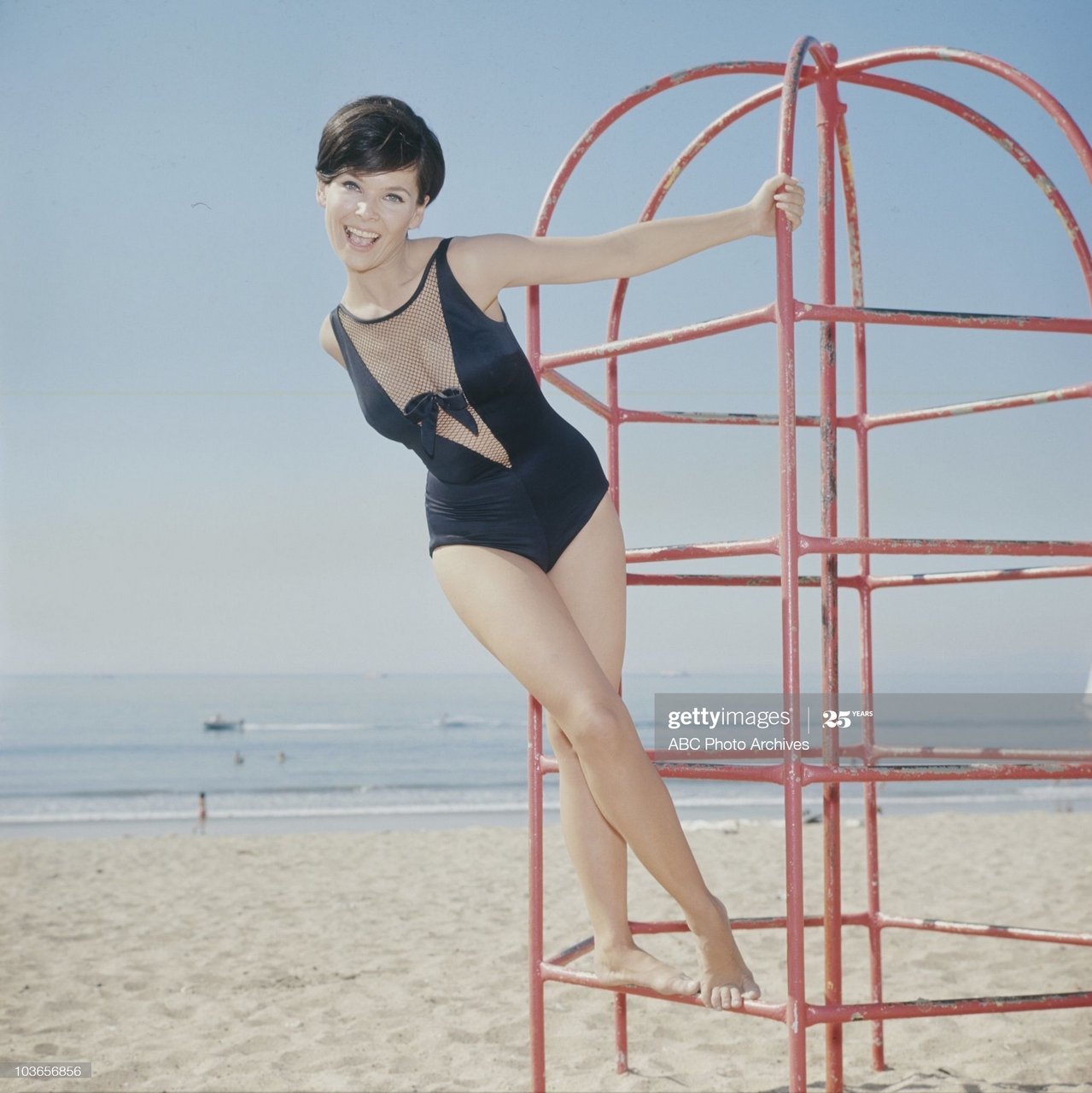 Yvonne Craig Pies