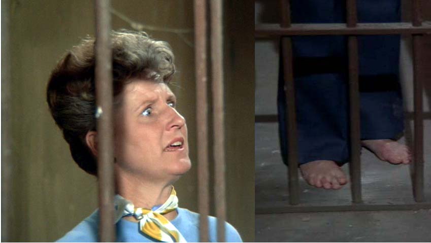 Ann B Davis Pies