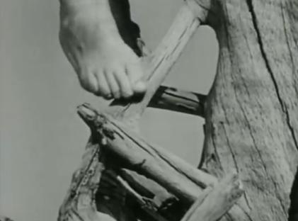 Maya Deren Pies