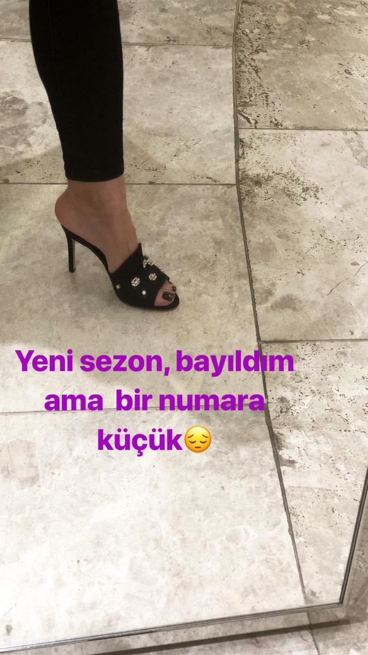 Zara Yilmaz Pies