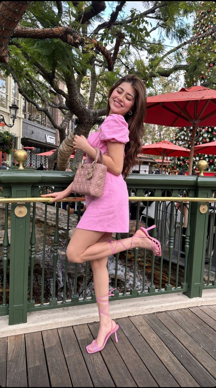 Aditi Bhatia Pies