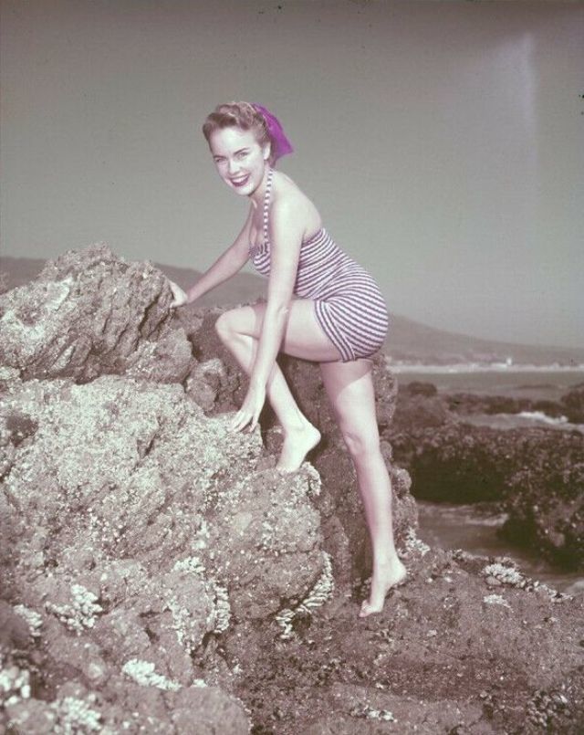 June Haver Pies