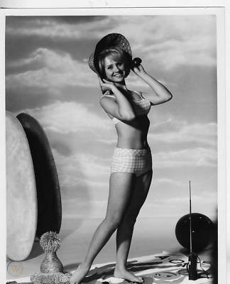 Melody Patterson Pies