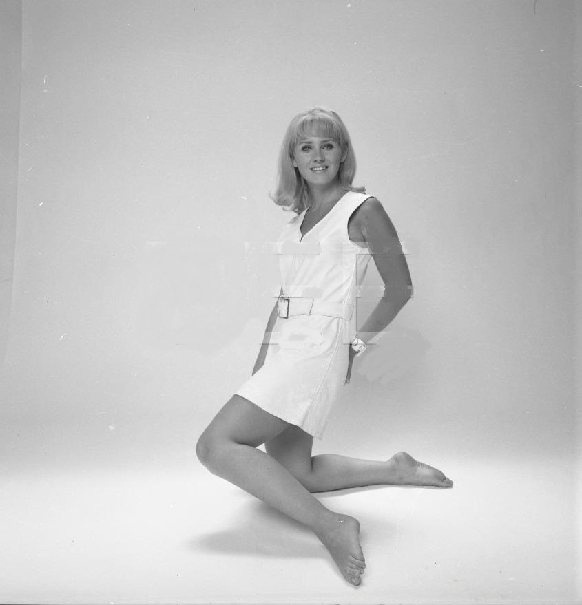 Melody Patterson Pies