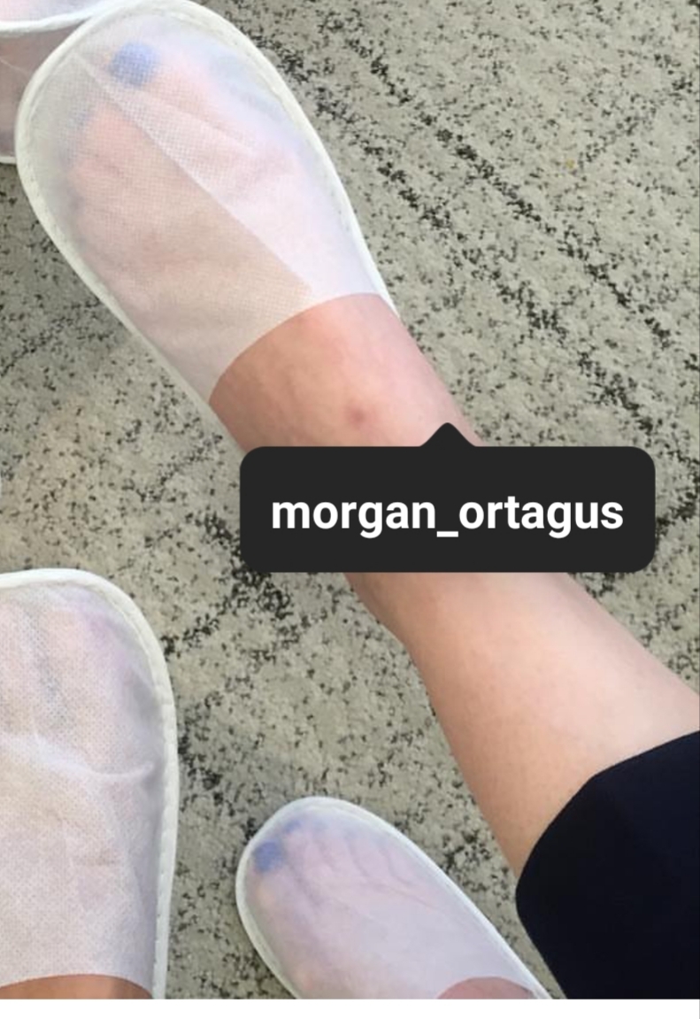 Morgan Ortagus Pies